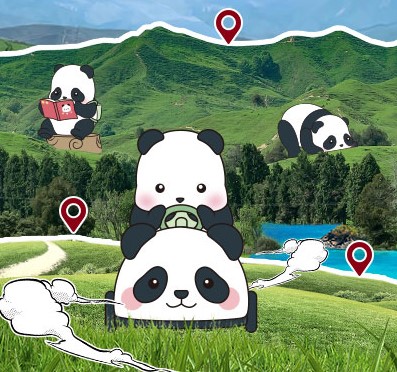Ȥ | BevictorΤXPanda Roll ޶С